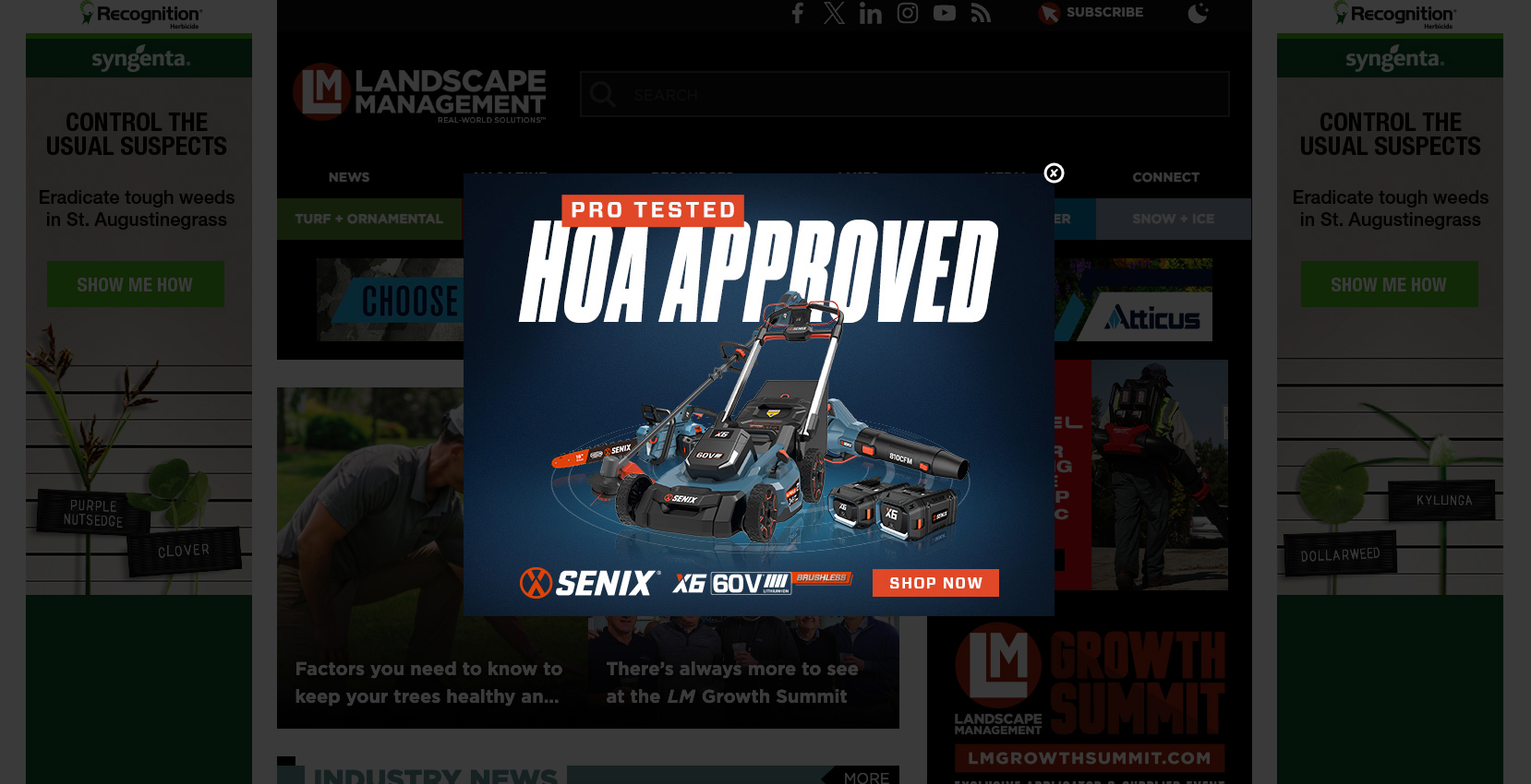 Interstitial Roadblock